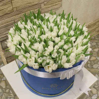 Заказать Букет 39 белых тюльпанов \"Облако\" в Киеве