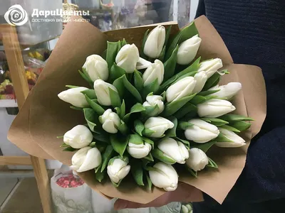 Букет белых тюльпанов • Fiorita • Květinářství v Praze
