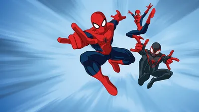 Великий Человек-паук смотреть онлайн все сезоны сериала в хорошем HD  качестве