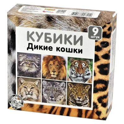Купить пластиковые кубики для детей Дикие кошки (9 штук) в  интернет-магазине Десятое Королевство
