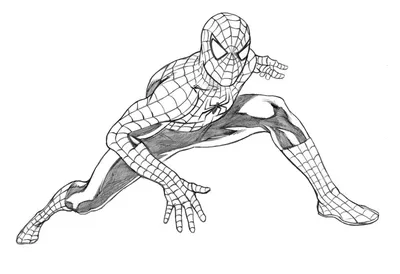 Человек паук рисунок (48 фото) » Рисунки для срисовки и не только