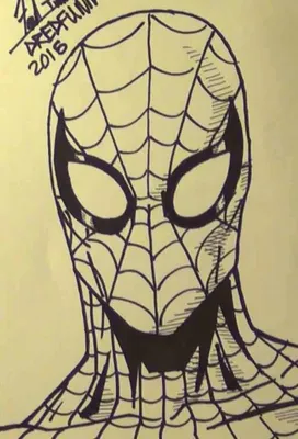Картинки карандашом человек паук (18 шт)