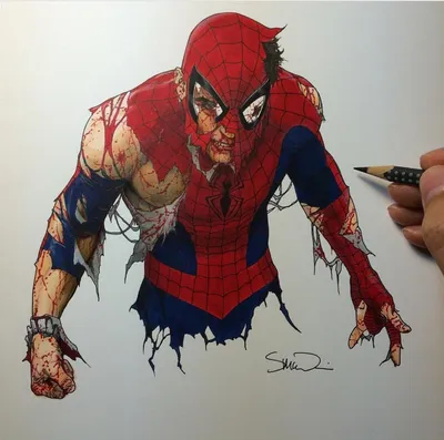 Картинки человека паука для срисовки - Картинки для срисовки