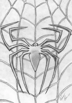 Раскраски человек паук для 5 лет (53 фото) » рисунки для срисовки на  Газ-квас.ком