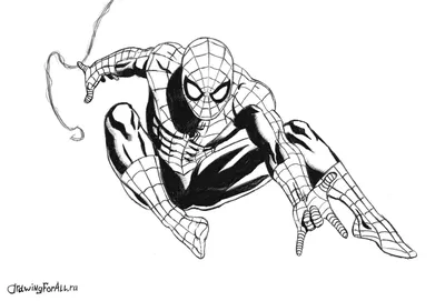 Рисунки Человека-паука для срисовки