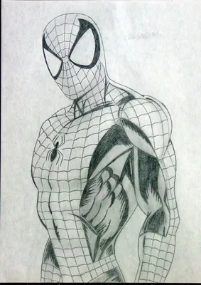 Человек-паук фильм серия Рисование карандашом, человек-паук, Акварельная  живопись, игра, карандаш png | PNGWing