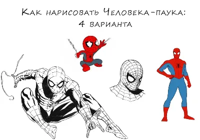 Картинки Человека-паука для срисовки (16 фото) - shutniks.com