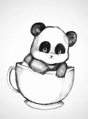 Легкие картинки для срисовки начинающим (50 рисунков) | Cute panda drawing,  Panda drawing, Panda sketch