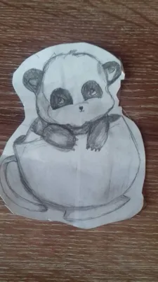 Срисовки. Панда в чашке. | ☕ DIY Своими Руками ☕ Amino