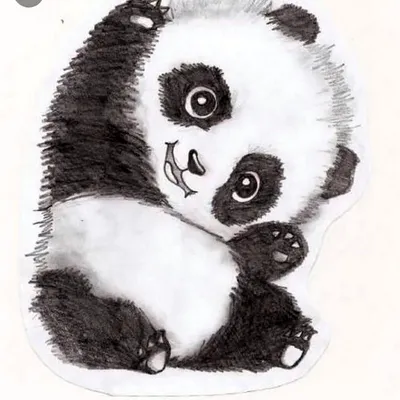 Картинка панда на шпагате ❤ для срисовки