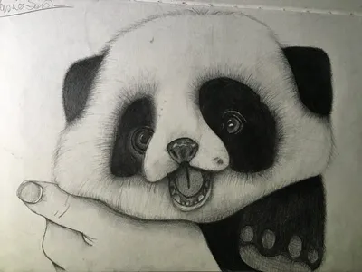 Идеи для срисовки панды самый легкие (88 фото) » идеи рисунков для срисовки  и картинки в стиле арт - АРТ.КАРТИНКОФ.КЛАБ