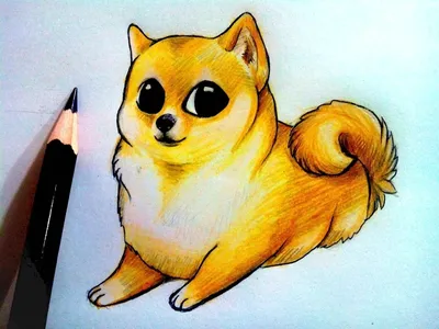 285 рисунков животных для срисовки - лёгкие, карандашом, фломастером,  цветные