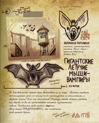 Alex Hirsch Гравити Фолз Дневник 3 Russian book Gravity Falls Journal 3  Hardcove | eBay