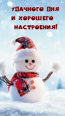 Картинки добрый день позитивные зимние (46 фото) » Юмор, позитив и много  смешных картинок