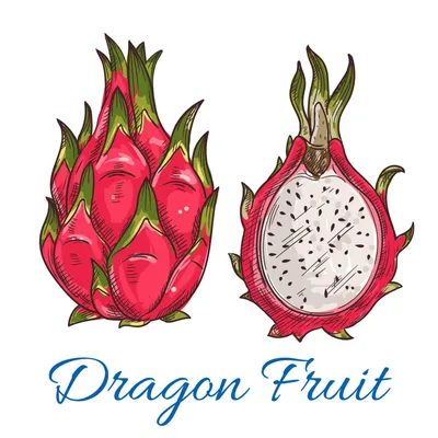Фрукты АО \"Фруктовая почта\" Питахайя (Сердце дракона) - «Красная питахайя- драконий  фрукт) сколько стоит и какой вкус?» | отзывы