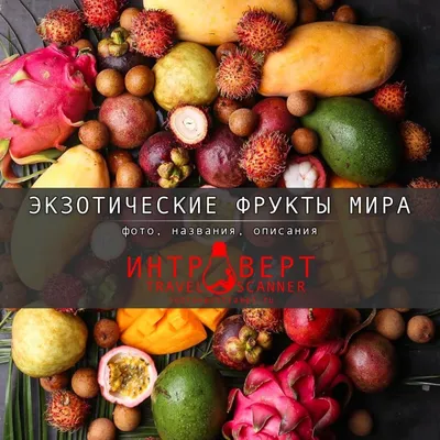 Экзотические Фрукты - купить вкусный подарок с доставкой. Цена, фото,  отзывы | Ukraineflora