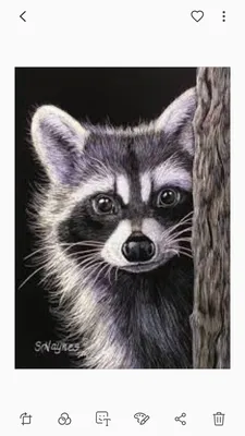 Как нарисовать Енота рисунки для срисовки | How to draw a Raccoon Gouache  drawings for sketching - YouTube