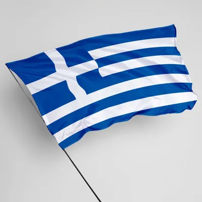 Греция осудила лидера «Серых волков» за «присваивание» греческих островов |  ИА Красная Весна