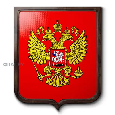 Флаг герб России большой 90*150 см набор ИНТЕРЕСНО 148183940 купить за 385  ₽ в интернет-магазине Wildberries