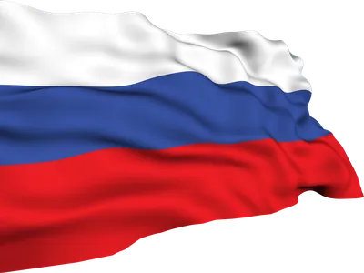 День государственного флага России: его история и значение - Южно-Уральский  государственный университет