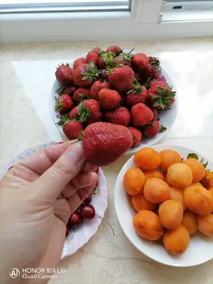 Плоды Клементина с 2 отдельными сегментами фруктов Стоковое Фото -  изображение насчитывающей традиционно, мандарин: 172672216