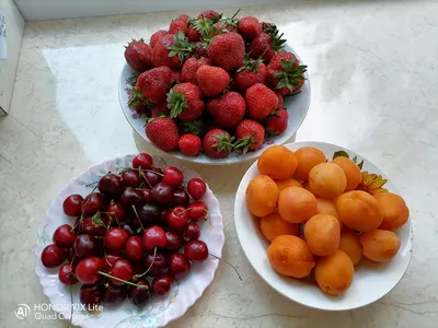 Обычные фрукты (69 фото) »