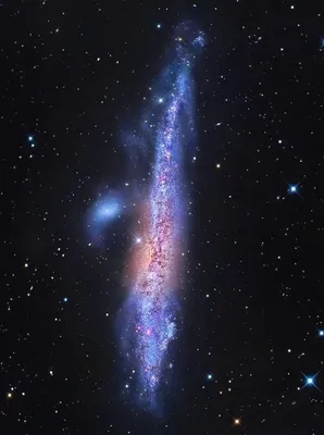 Галактика, космос, красота, танец зв…» — создано в Шедевруме