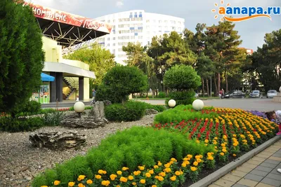Парк 30-летия Победы в Анапе: адрес, фото