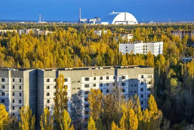Место, где жизнь остановилась: как выглядит Чернобыльская АЭС и Припять в  наши дни (фото) - Телеграф