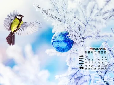 Обои на рабочий стол с фото Витебска и календарем на январь 2016 года |  Народные новости Витебска