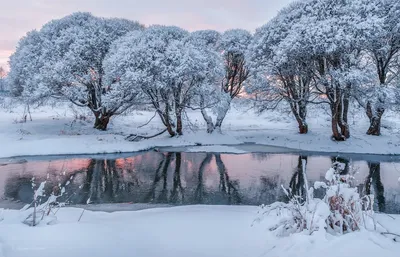 картинки : пейзаж, дерево, природа, лес, филиал, снег, зима, мороз, Погода,  Рождество, время года, метель, Декабрь, естественная среда, Февраль, Январь,  Замораживание, окружающая среда, зимняя буря 1920x1260 - - 1138529 -  красивые картинки - PxHere