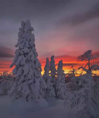 Amazing ☀️🏡❄ #природароссии #природа #красота #зима#снег#январь  #закат#сибирь #инстаграм_порусски #инстатаг #инстаграманет #деревня… |  Instagram