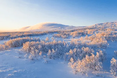 В зимнем лесу , Средний Урал январь 2021г. Фотограф Антон Кошетаров