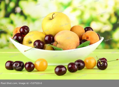Фотообои Яркие фрукты», (арт. 22647) - купить в интернет-магазине Chameleon