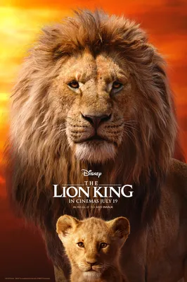 Картинки из фильма король лев фотографии