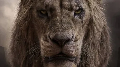 Свежий плакат фильма «Король Лев» от Джона Фавро