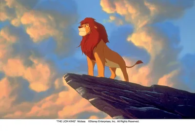 На премьеру фильма \"Король лев\" во Владивостоке привезут настоящего льва -  PrimaMedia.ru