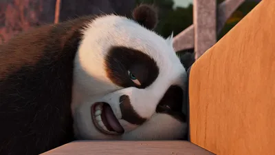 Download wallpaper Кунг-фу Панда, Kung Fu Panda, film, movies free desktop  wallpaper in the resolution 1280x1024 — picture №21491