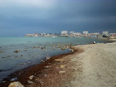 Каспийское море, Дагестан - «Все нюансы которые надо знать об Каспийском  море» | отзывы