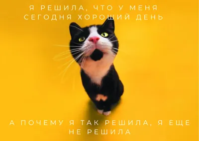 Дратути Клуб� - Доброе утро всем! Хорошего дня!😘❤️ .... | Facebook