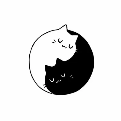 Черно белый вислоухий кот - 72 фото