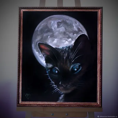 Картинки кошка и луна