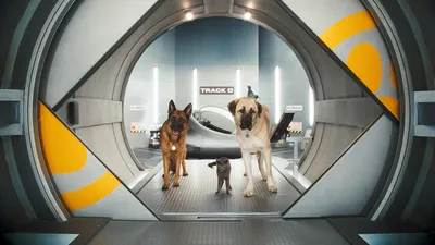 Фильм Кошки против собак 3: Союз питомцев (2020) описание, содержание,  трейлеры и многое другое о фильме