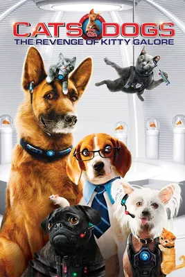 Фильм Кошки против собак: Месть Китти Галор (США, Австралия, 2010) –  Афиша-Кино
