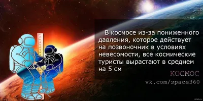 Илон Смазка запустит твою ракету в космос. | VIZIT | ВКонтакте
