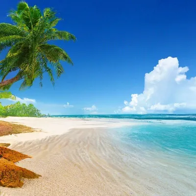 Красивые обои пляж море июль…» — создано в Шедевруме