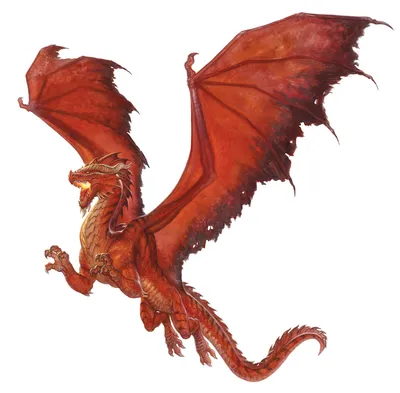 голова огромных красных драконов, изолированных на белом фоне Иллюстрация  штока - иллюстрации насчитывающей изверг, дракон: 273146517