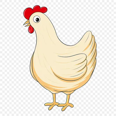 Курицы и цыплята нарисованные рукой Иллюстрация штока - иллюстрации  насчитывающей собрание, характер: 77569385