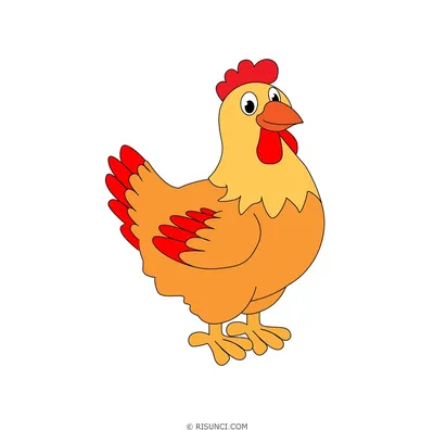 Курица или цыпленок нарисованные с грубыми линиями в винтажном стиле  Woodcut или вытравлять Покрашенная птица птицы изолированная Иллюстрация  вектора - иллюстрации насчитывающей женщина, когти: 138296945
