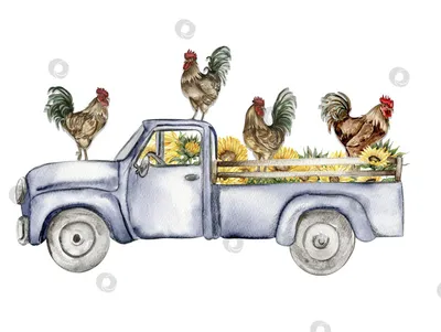 Куриное яйцо Иллюстрация, нарисованная курица, акварель, еда png | PNGEgg